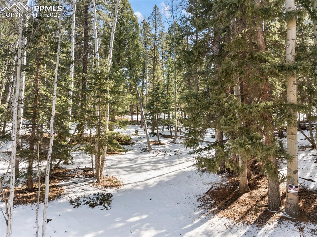 Image 10 of 19: Wooded