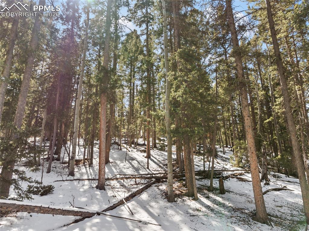 Image 11 of 19: Wooded land view