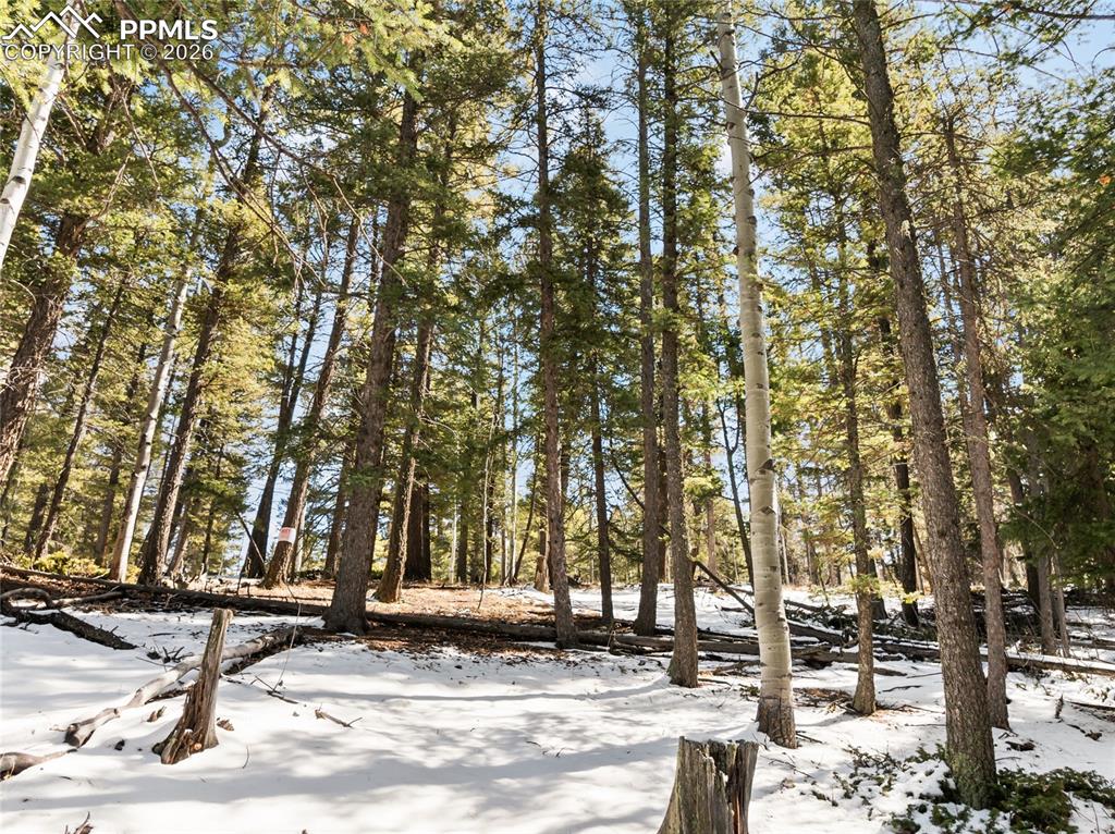 Image 14 of 19: Wooded 