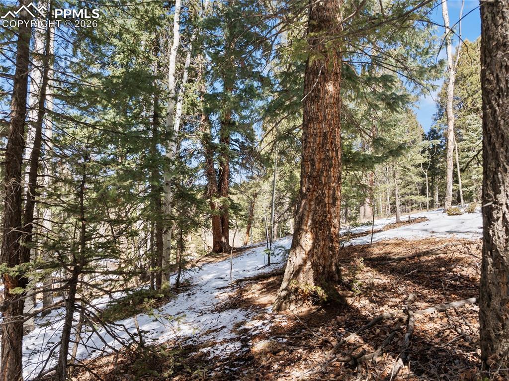 Image 16 of 19: Hill side