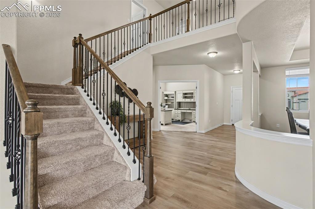 Image 6 of 38: Other