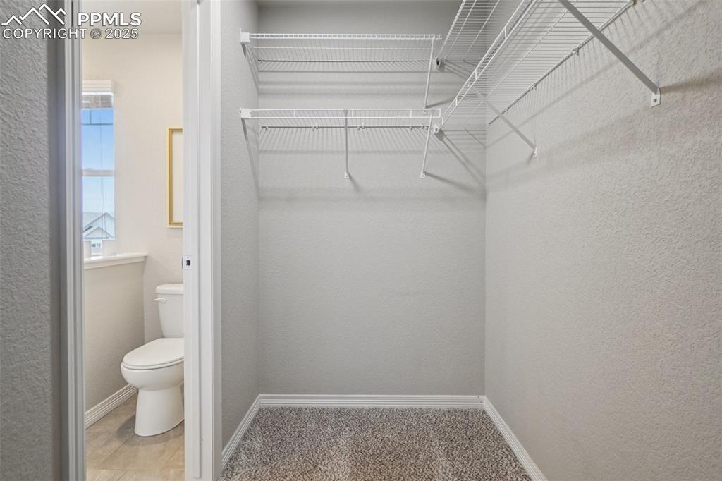 Image 27 of 46: Spacious closet featuring carpet