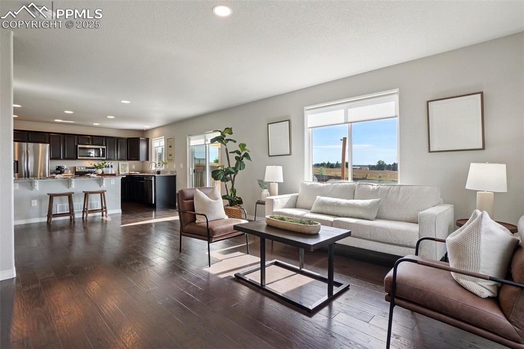 Image 5 of 46: Living area featuring plenty of natural light, dark wood-type flooring, rec
