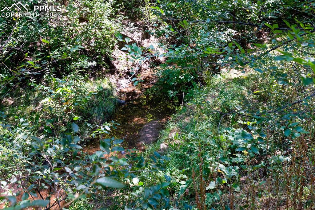 Image 32 of 33: View of nature