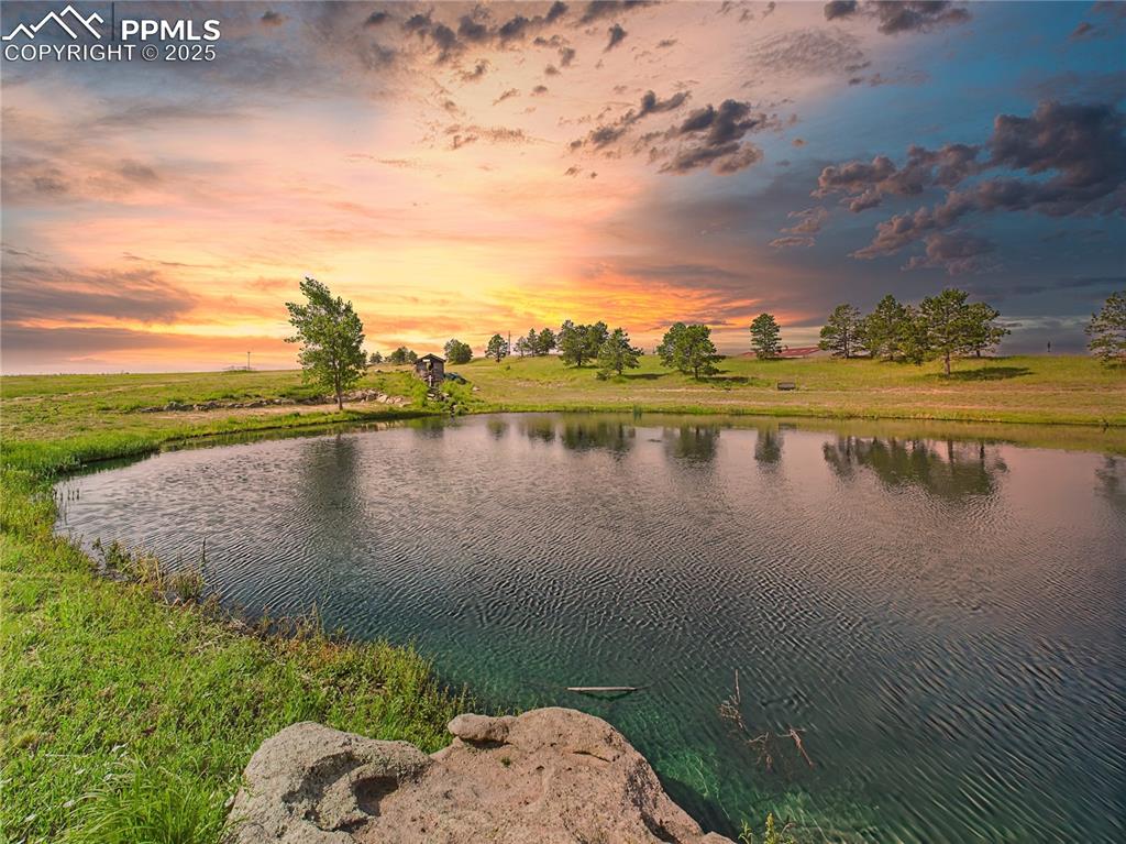 Image 4 of 50: Neighborhood pond