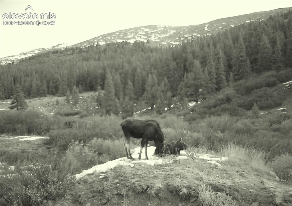 Image 11 of 20: View