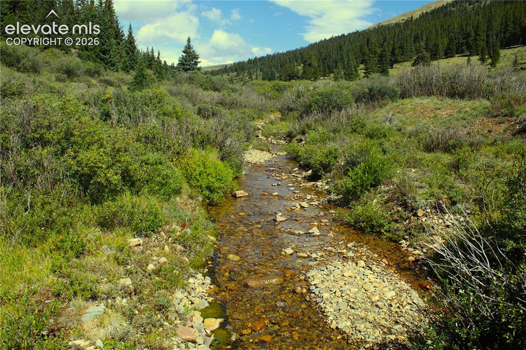 Image 16 of 20: Other