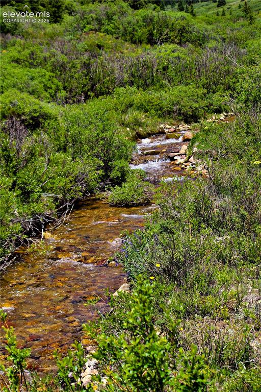 Image 2 of 20: Beaver Creek