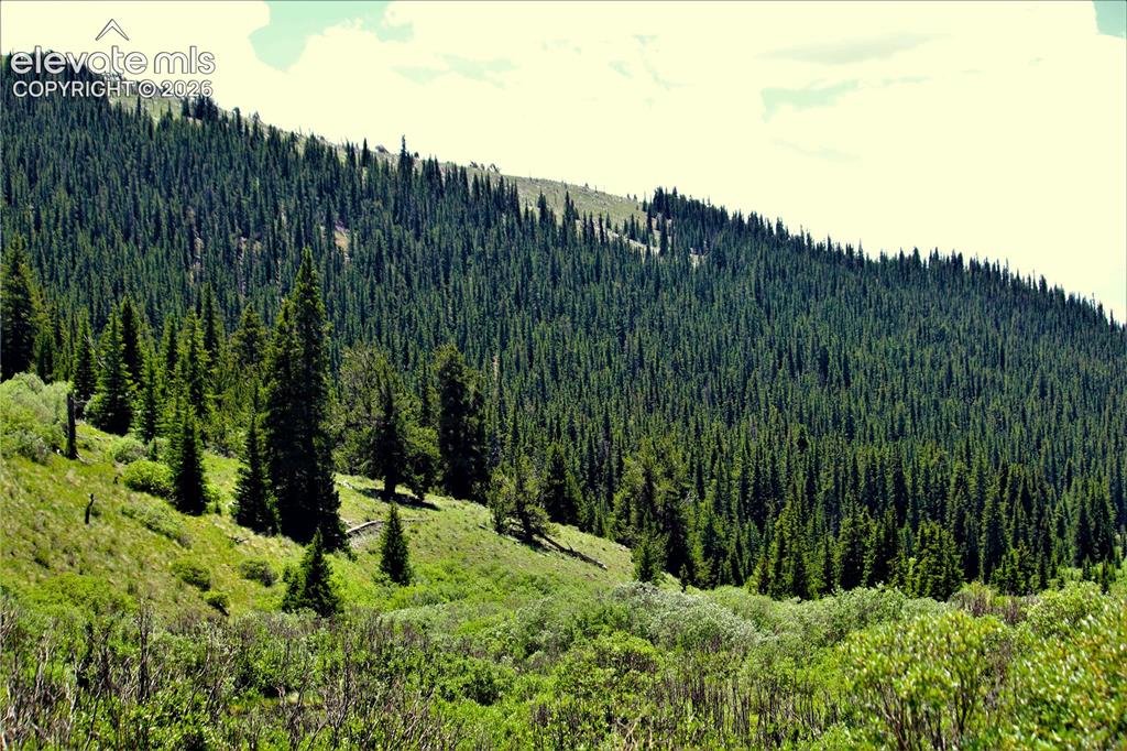 Image 3 of 20: View