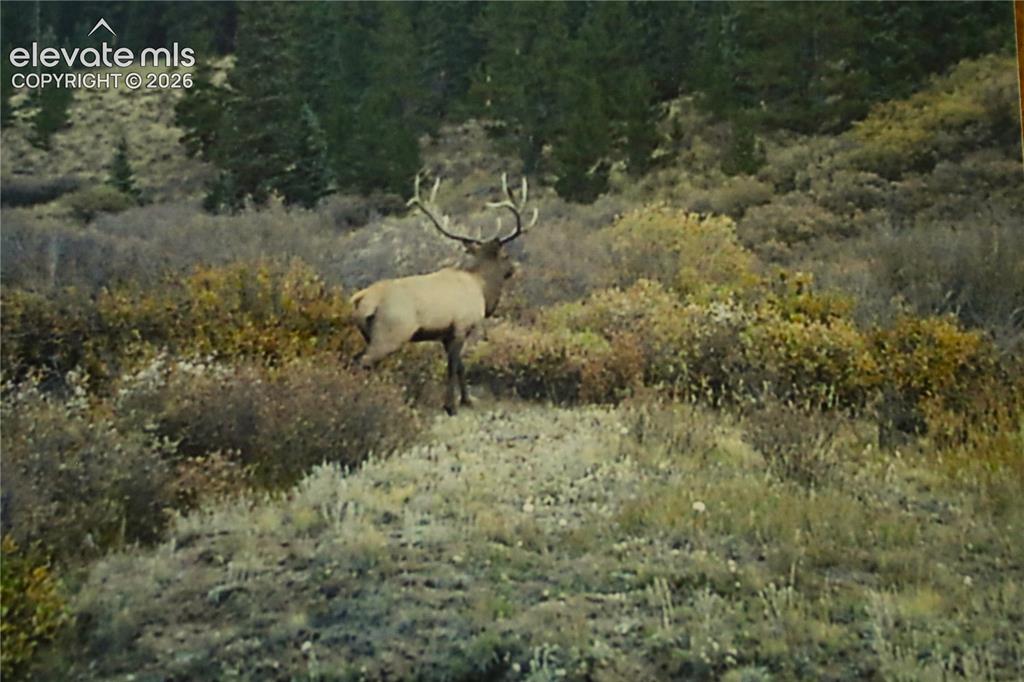 Image 5 of 20: Other