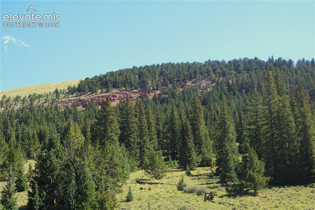 Image 6 of 20: Other