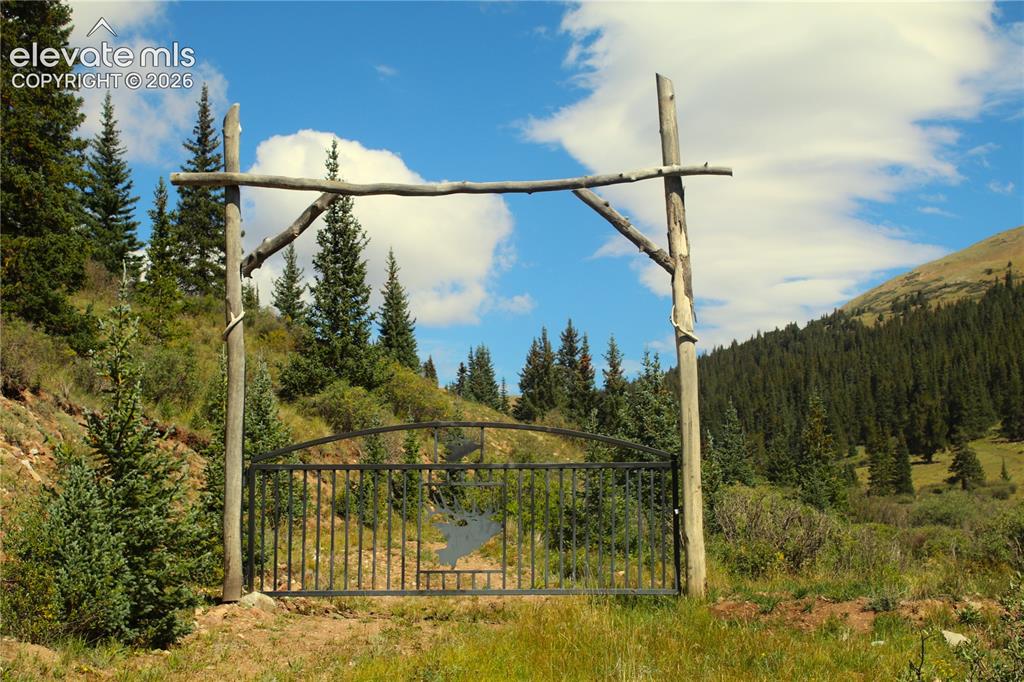 Image 7 of 20: Other