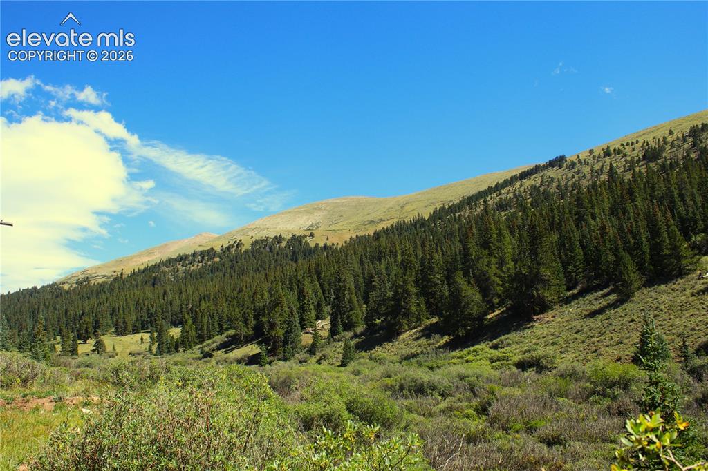Image 8 of 20: View