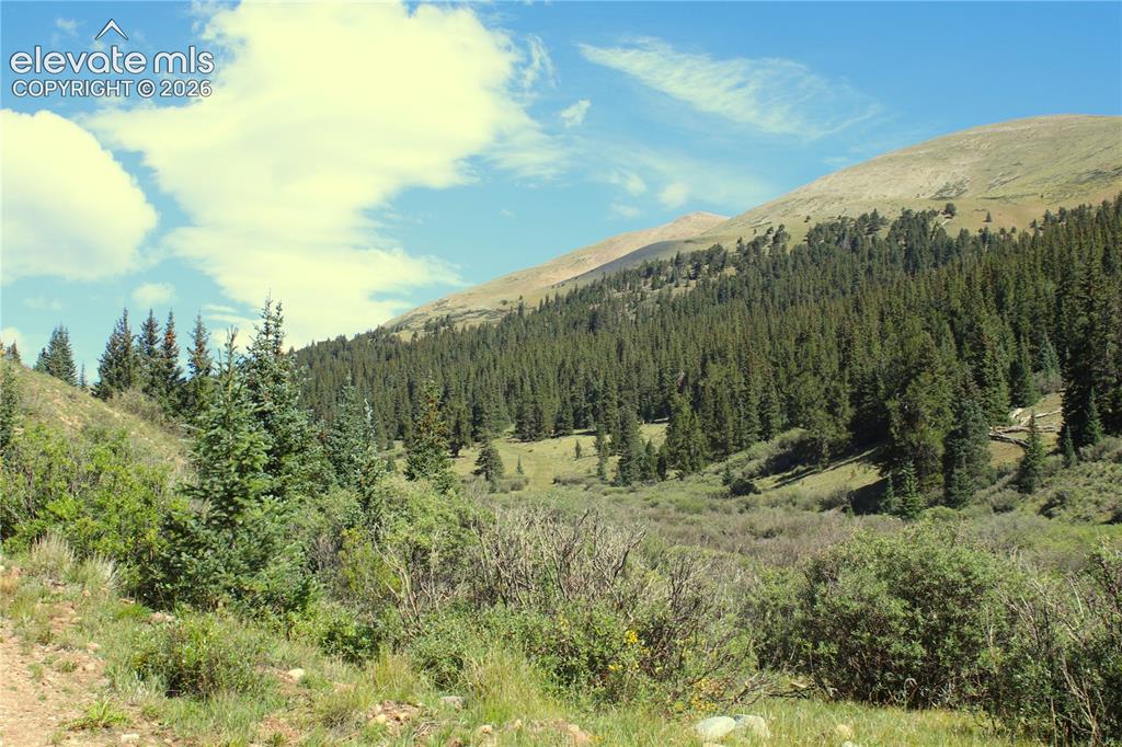 Image 9 of 20: View
