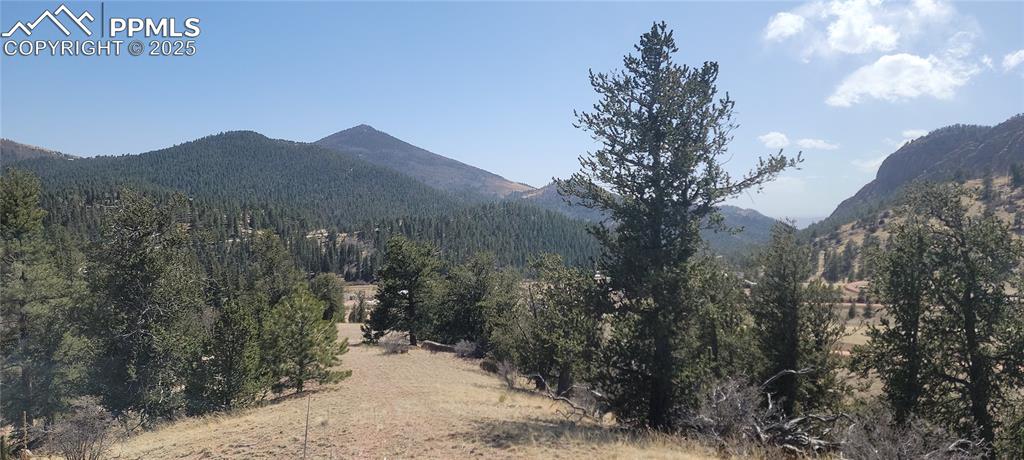 Caption: View of mountain backdrop