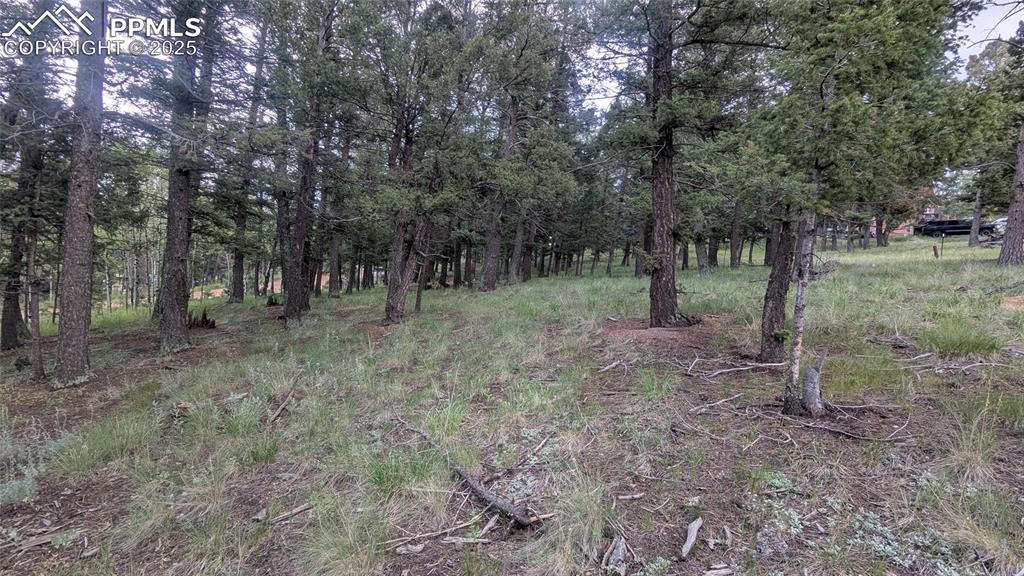 Image 3 of 12: Easy access