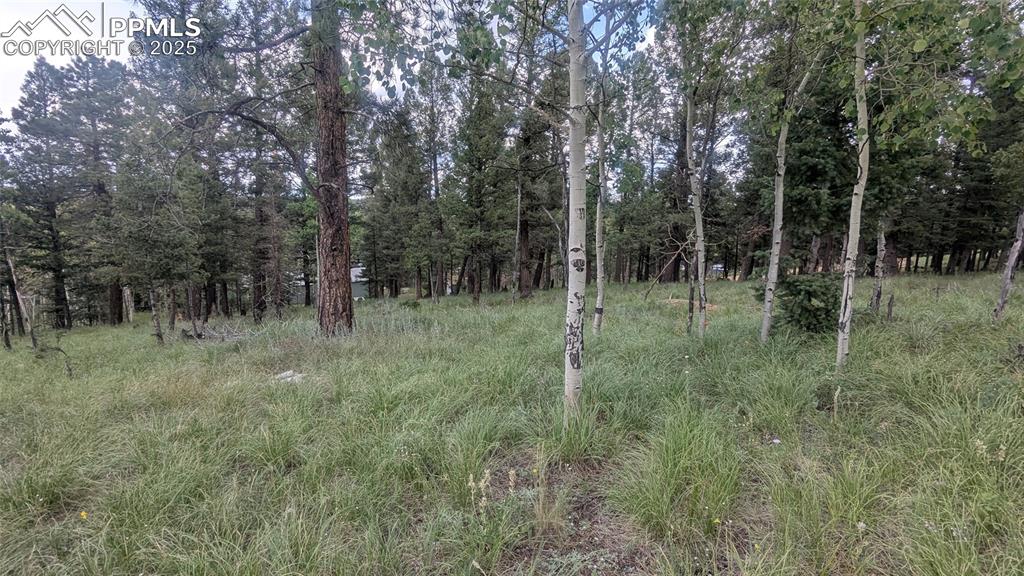 Image 4 of 12: Natural landscape