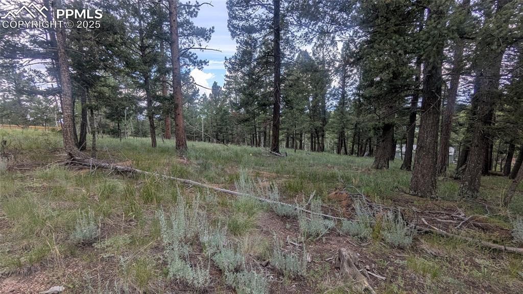 Image 5 of 12: View of nature