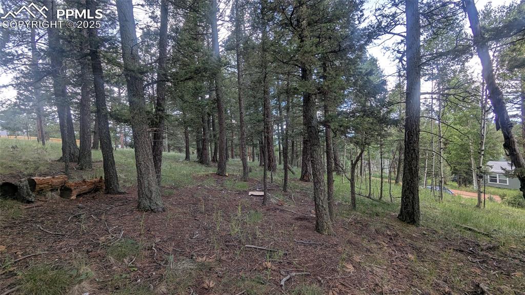 Image 6 of 12: View of undeveloped land