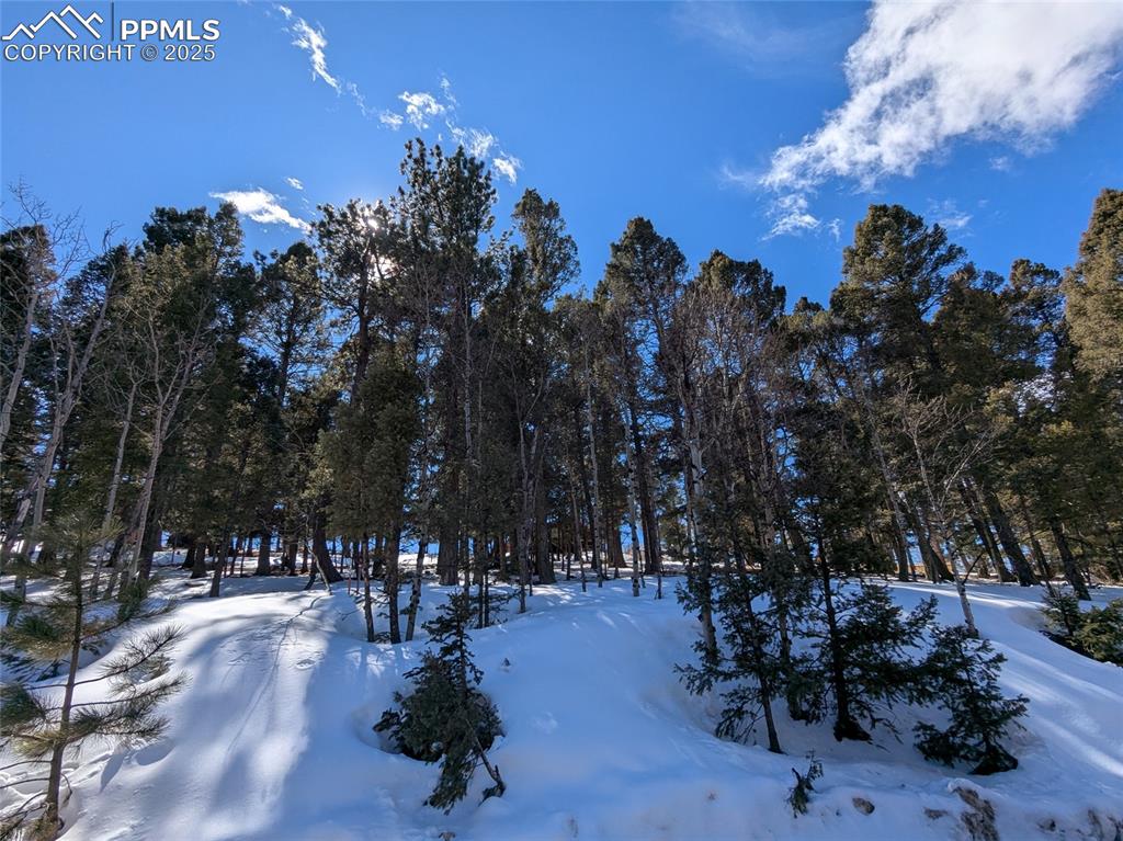 Image 9 of 12: Location of lot sits a bit higher than the road