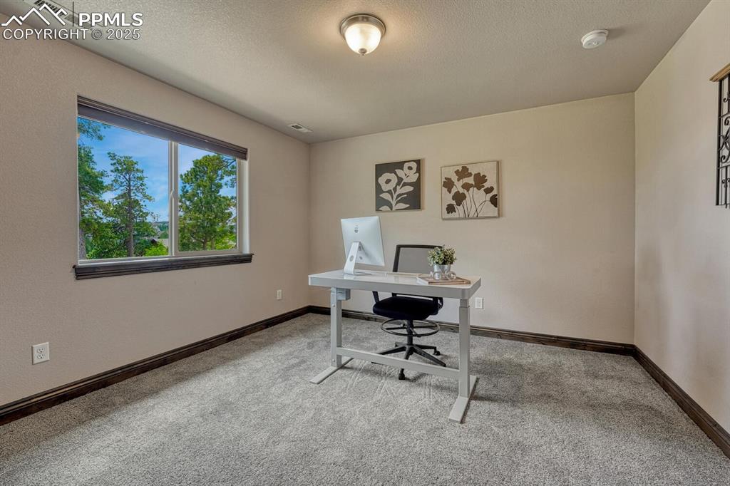 Image 20 of 50: Office space featuring carpet floors, baseboards, and a textured ceiling