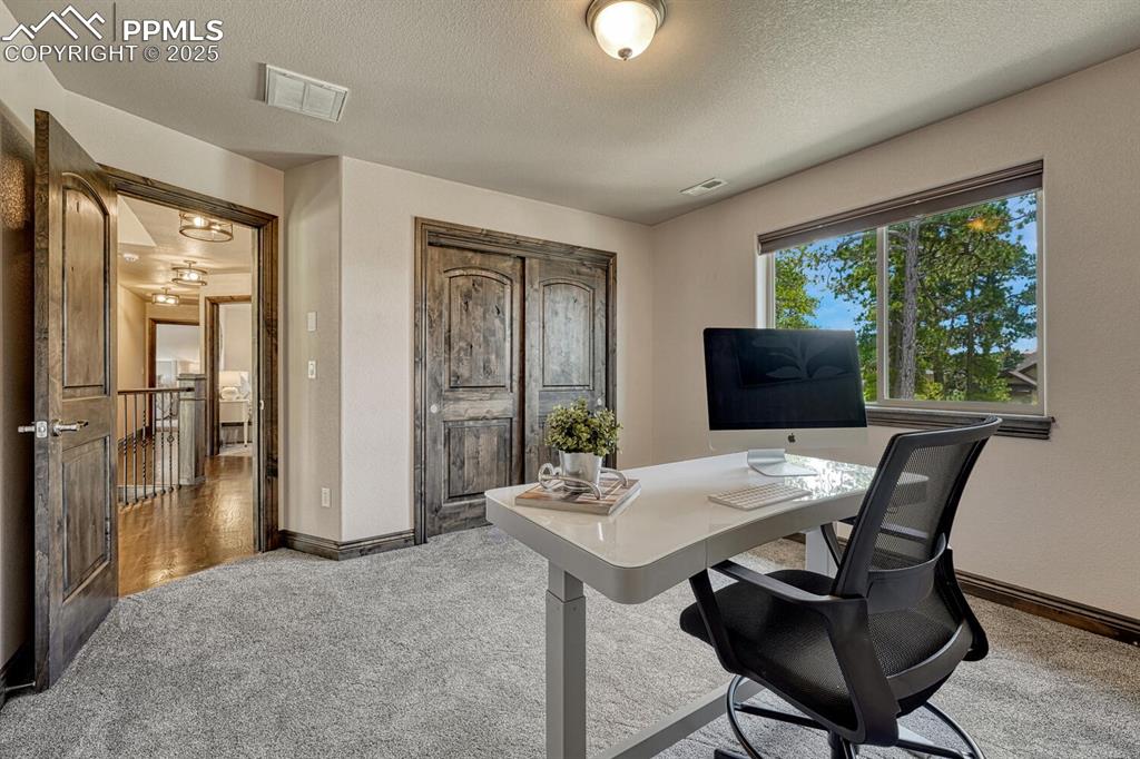 Image 21 of 50: Home office with carpet, baseboards, and a textured ceiling