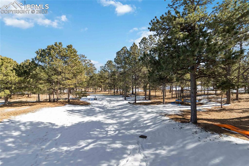 Image 41 of 50: Yard