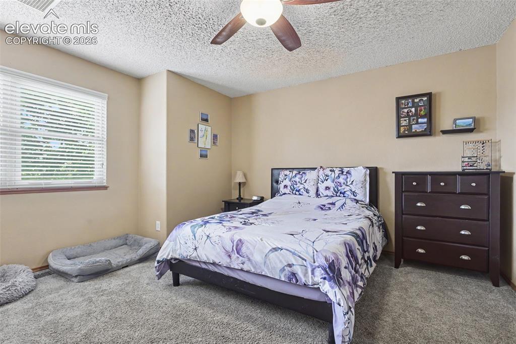 Image 10 of 34: Spacious Main Bedroom with Walk-in closet