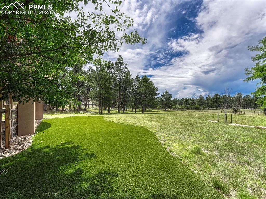 Image 44 of 50: Yard