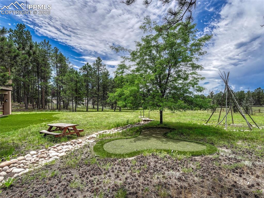 Image 45 of 50: Yard