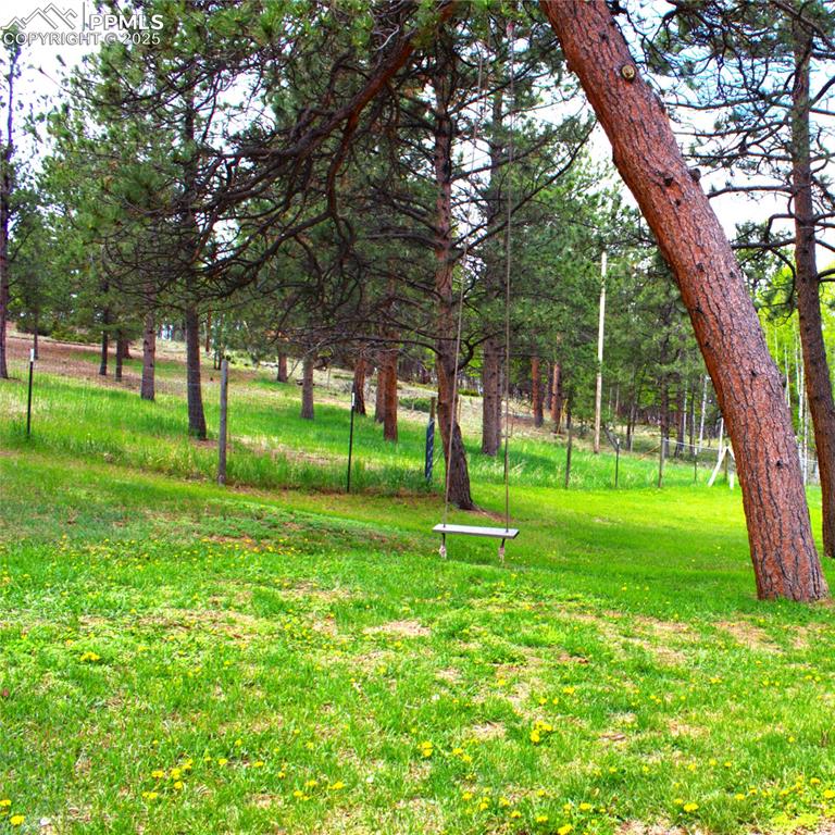 Image 36 of 48: Yard