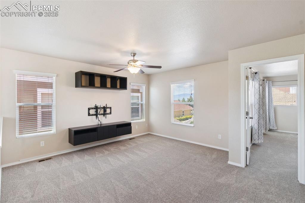 Image 16 of 30: Unfurnished living room with carpet, a ceiling fan, and plenty of natural l