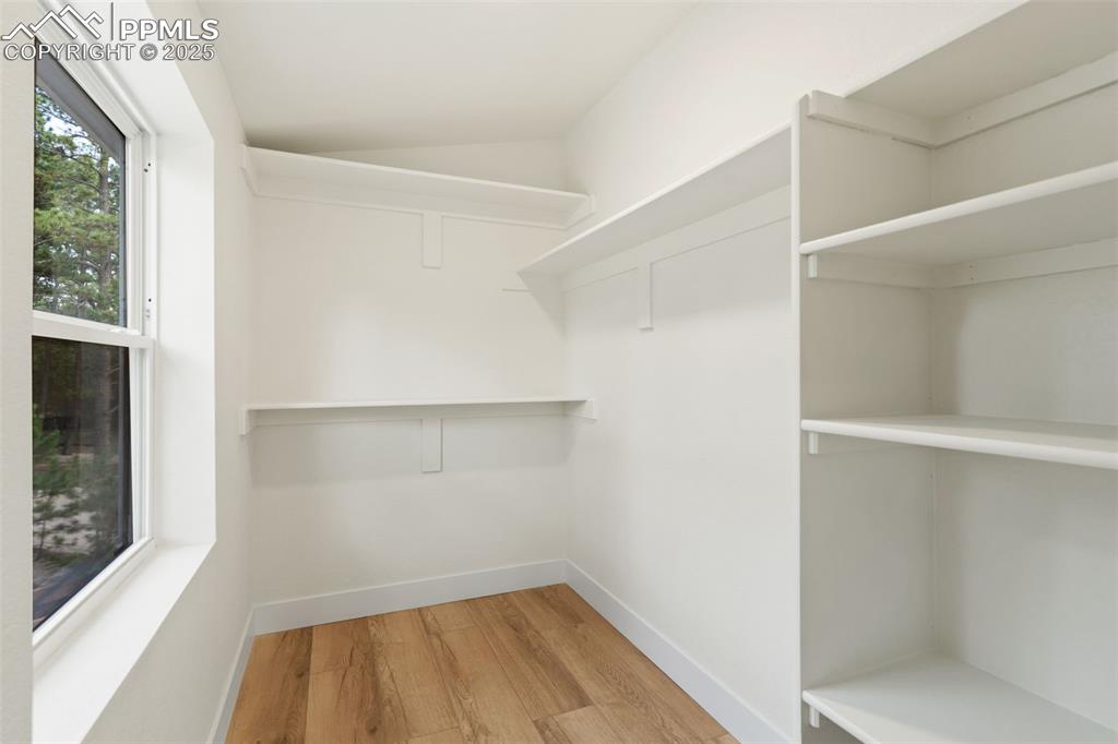 Image 24 of 43: Walk in closet featuring light wood finished floors