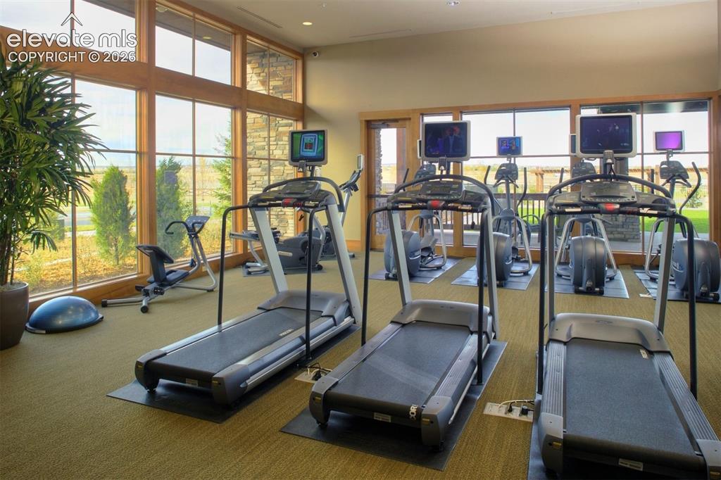 Image 17 of 24: Gym