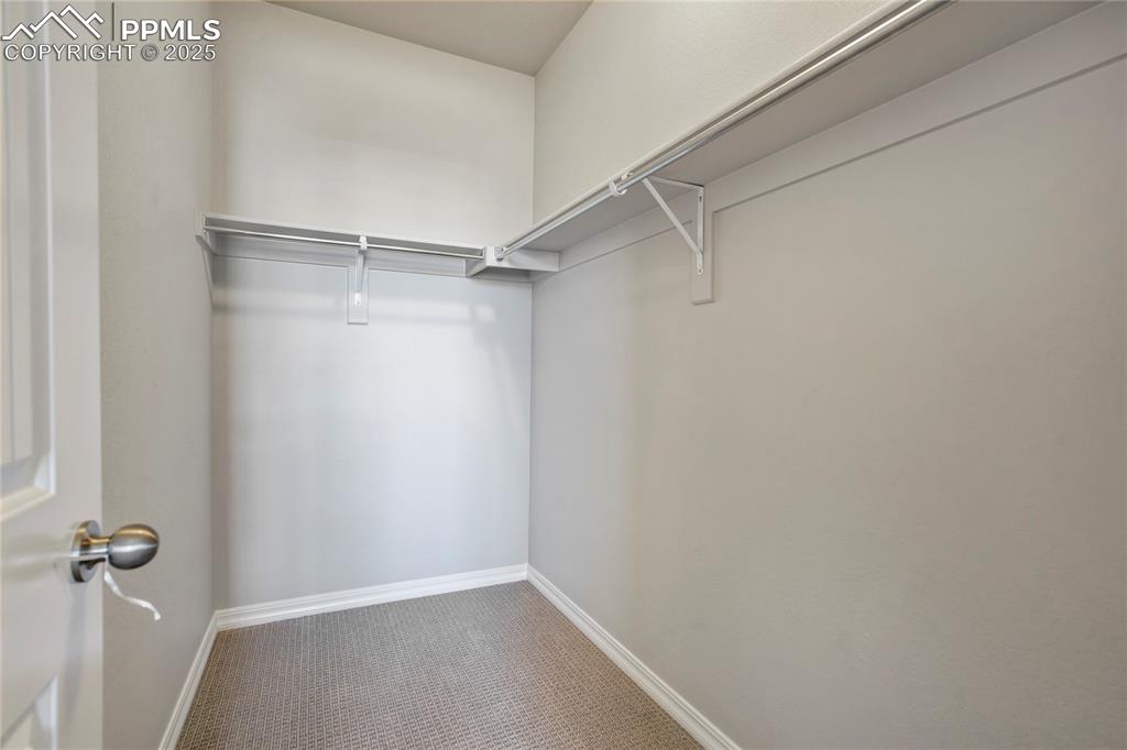 Image 22 of 44: Spacious closet featuring carpet floors