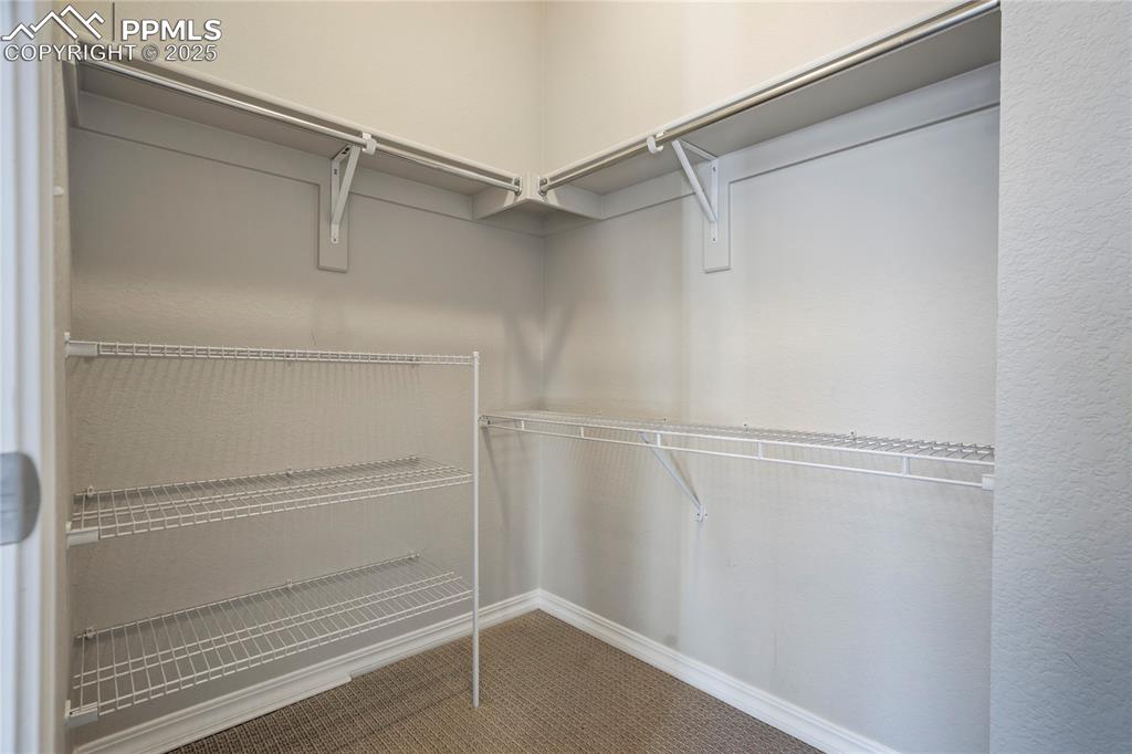 Image 25 of 44: Walk in closet featuring carpet floors