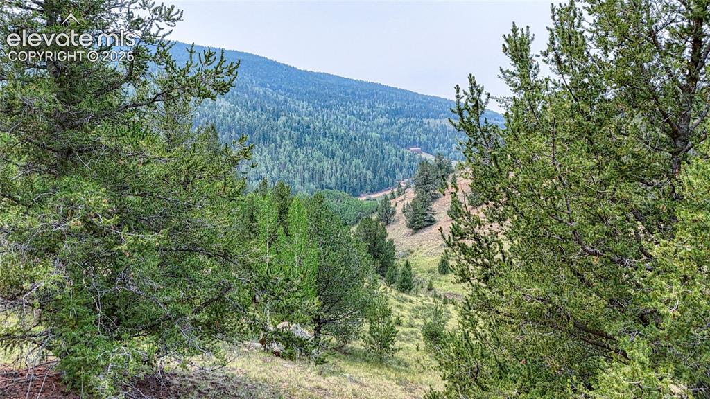 Image 15 of 20: View