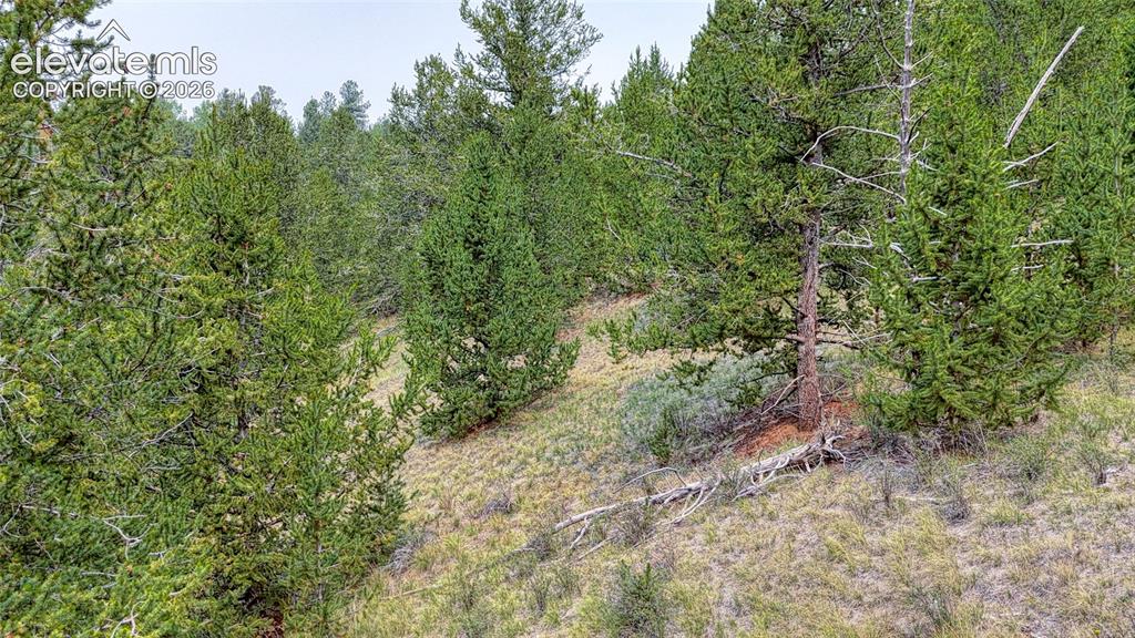 Image 9 of 20: Other
