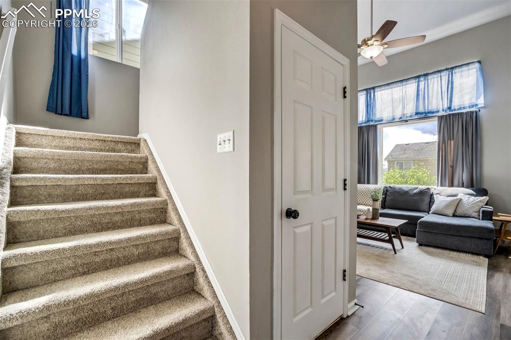 Image 21 of 42: Under-stair storage by the stairs. 