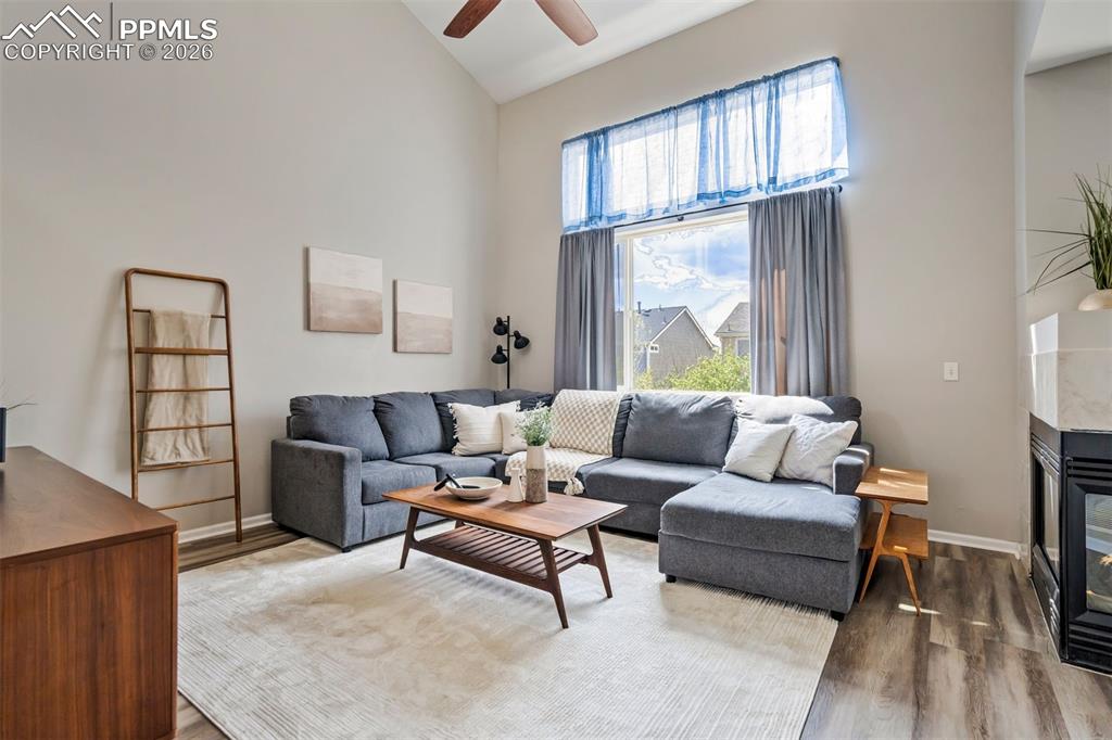 Image 6 of 42: All new flooring throughout. 