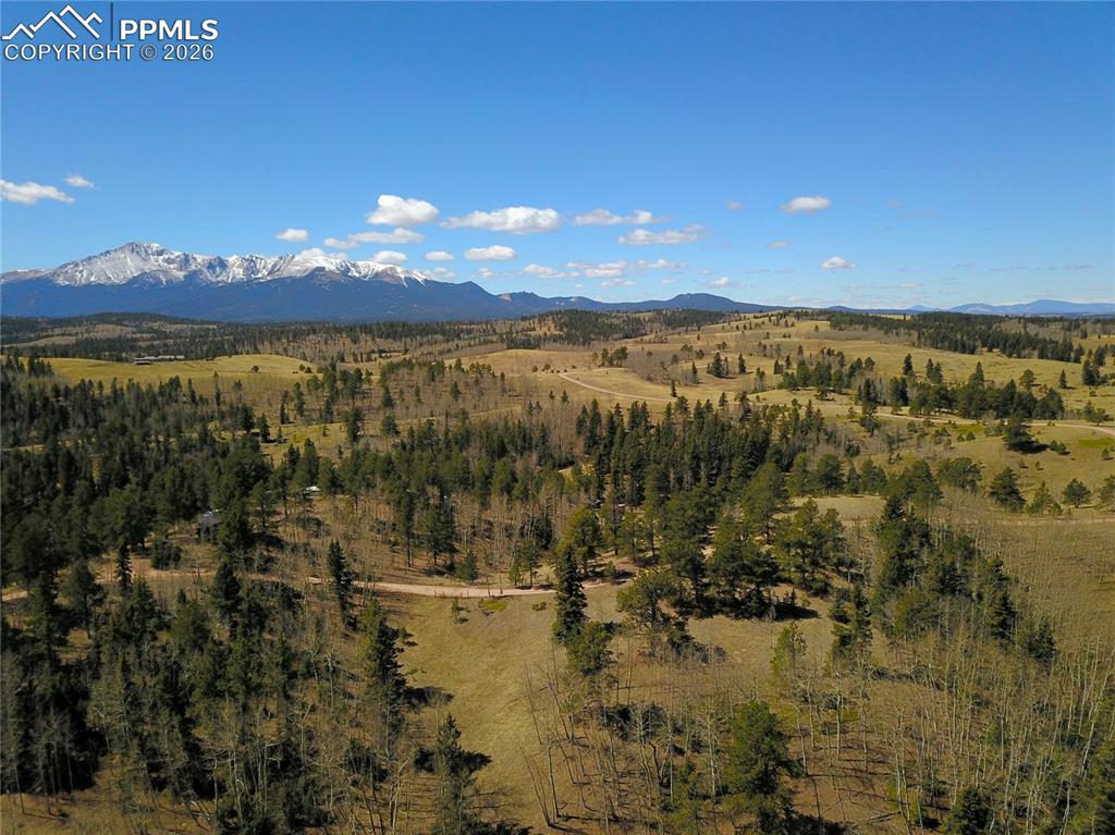 Caption: New Supplement