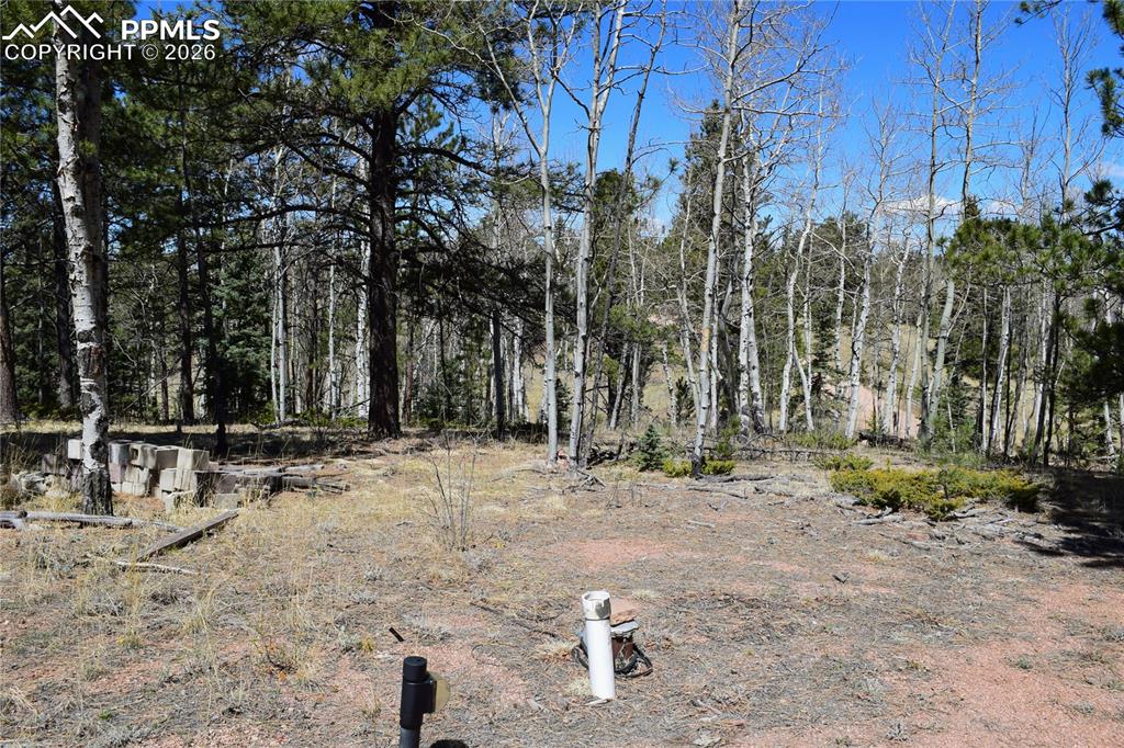 Image 13 of 17: Aerial View