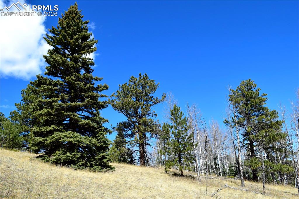 Image 14 of 17: View