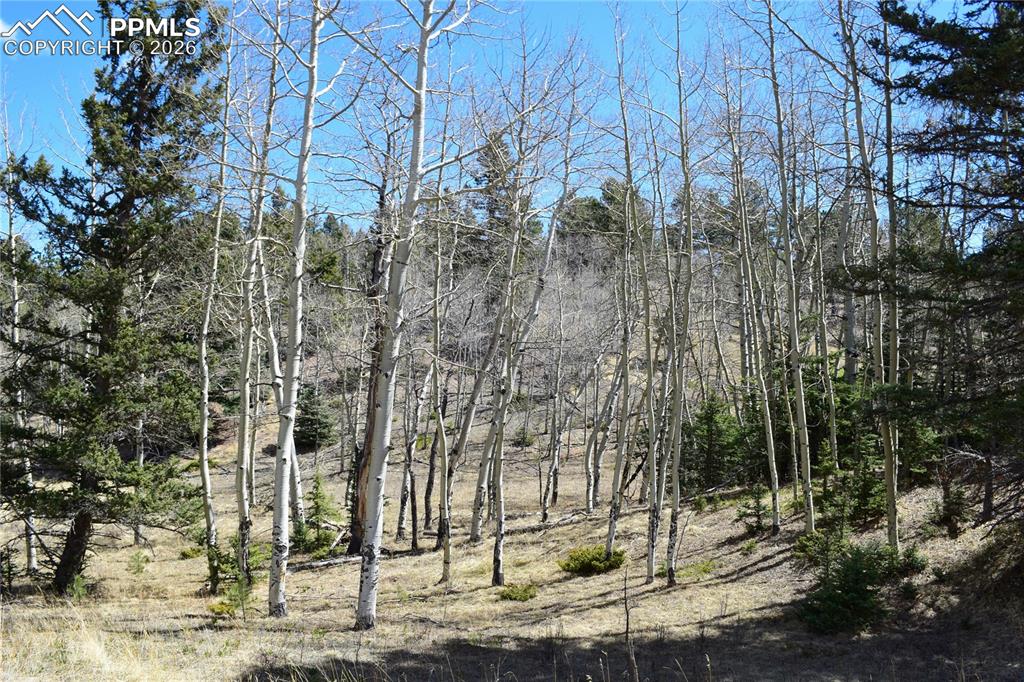 Image 15 of 17: Other