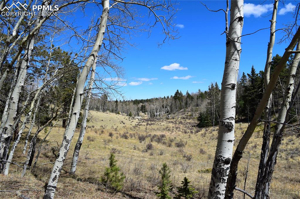 Image 16 of 17: Other