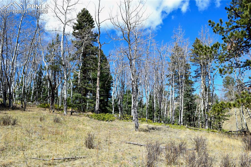 Image 17 of 17: Yard