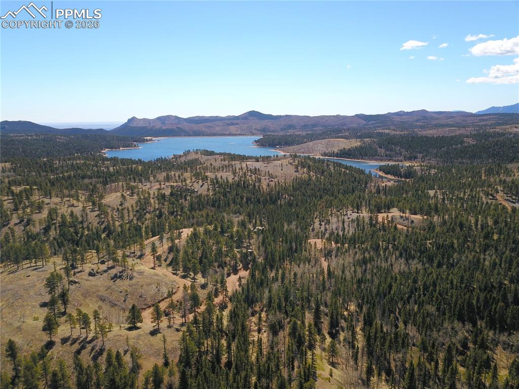 Image 5 of 17: New Supplement