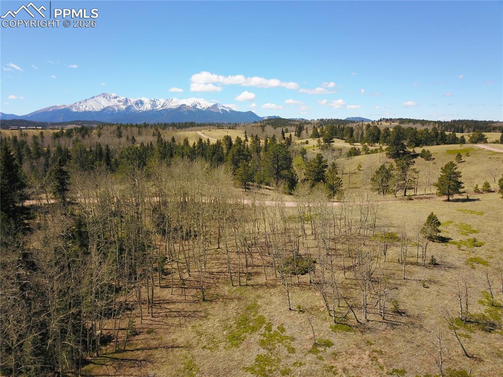 Image 6 of 17: Community