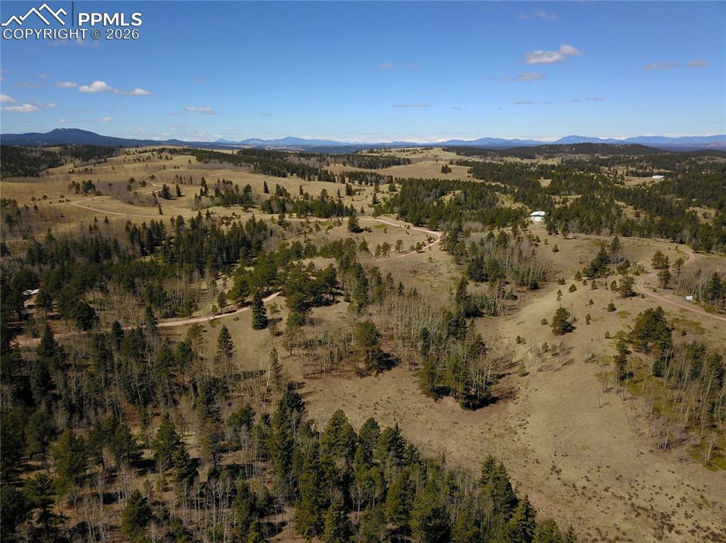 Image 7 of 17: New Supplement