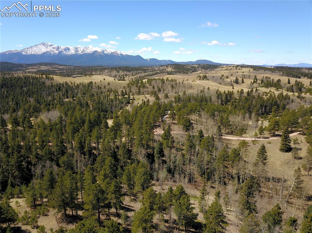 Image 9 of 17: New Supplement